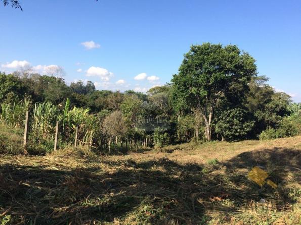 Terreno à venda em Centro, Colombo cod:300-17 - Foto 6