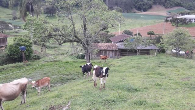 Oportunidade única !!! - Foto 15