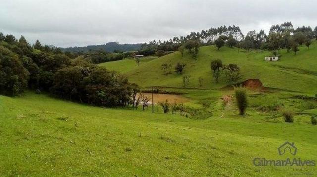 Chácara para Venda, 168.604,00 m², São Bento do Sul / SC, bairro Serra Alta - Foto 8