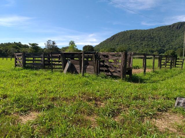 Lindo Sitio Próximo da Serra - Foto 4