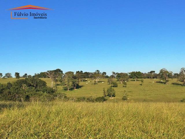 Belíssima fazenda, 110hectares, próximo de Caldas Novas, casarão rústico, rica em água - Foto 7