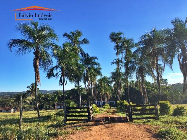 Belíssima fazenda, 110hectares, próximo de Caldas Novas, casarão rústico, rica em água - Foto 9