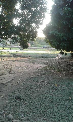 Chácara chacara, sitio, fazenda casa moradia carro, aluguel, aluga-se - Foto 6