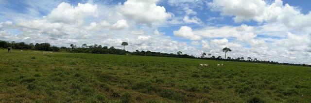 Área Rural (Estrada de Boca do Acre) - Foto 9