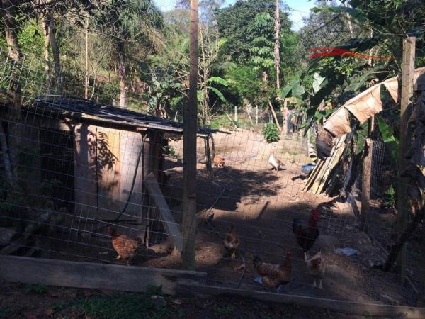 Sítio à venda em Pagará grande, Santo amaro da imperatriz cod:120 - Foto 13