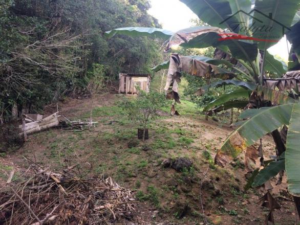 Sítio à venda em Pagará grande, Santo amaro da imperatriz cod:120 - Foto 9