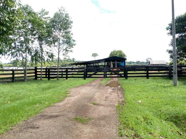 Área Rural (Estrada de Boca do Acre) - Foto 12