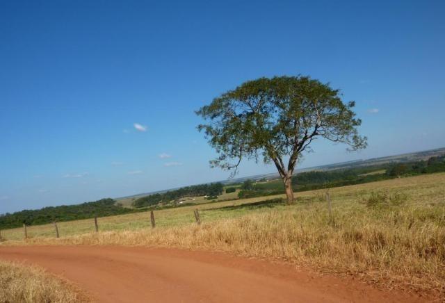Fazenda interior de Canarana-MT 75Hectares - Foto 2