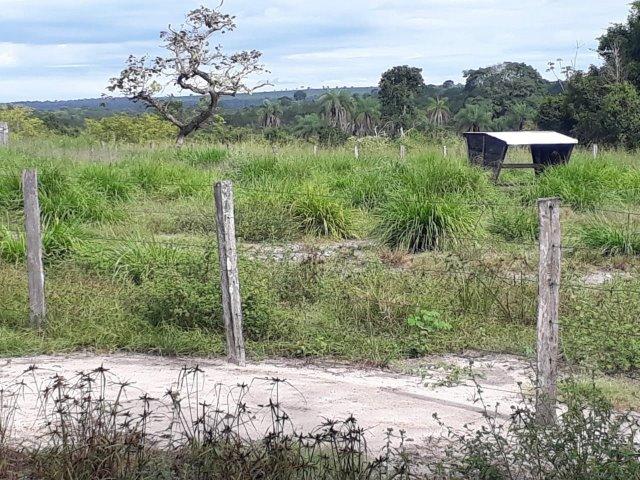 Fazenda Paraiso - Foto 13