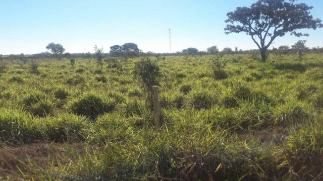1250 Alq. Pra Cana Oferta Prazo Com Entrada Plana Vermelha Bem Montada MG - Foto 15