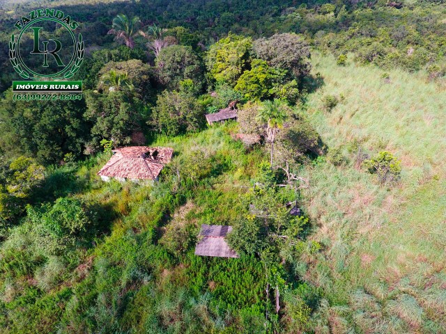 Fazenda 73 Alqueires Próximo a Paraíso do Tocantins - Foto 5