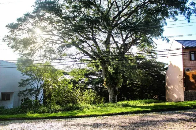 Terreno em Ipanema