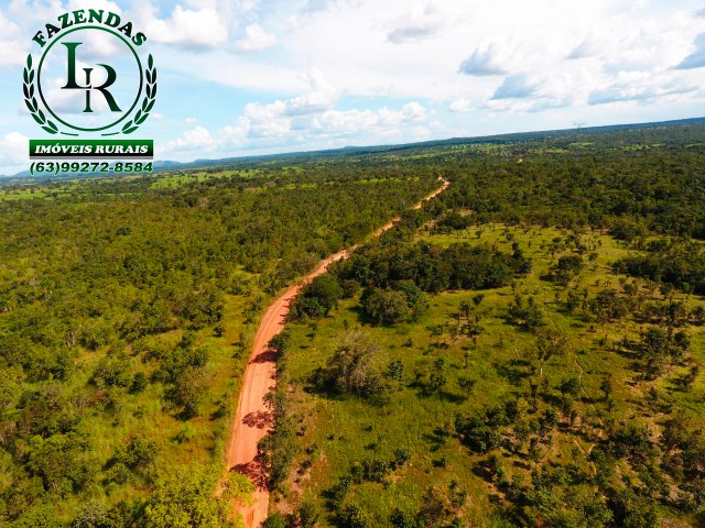 Fazenda 73 Alqueires Próximo a Paraíso do Tocantins - Foto 2