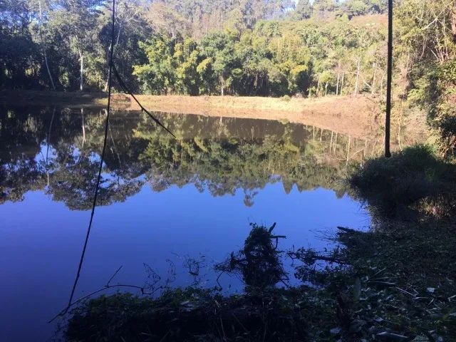 Excelente terreno em Piedade - Foto 8