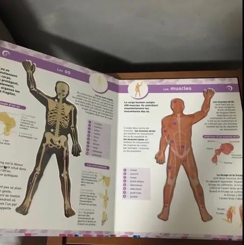 Livro Corpo Humano - Foto 2