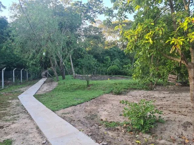 Rancho em Palmeiras Beira Rio - Pesqueiro - Chacara - Foto 10