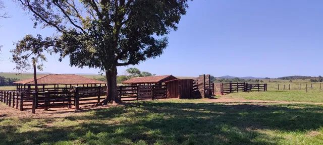 Fazenda em Pontalina  - Foto 2