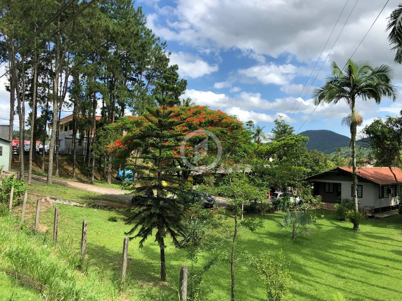 Terreno - Foto 4