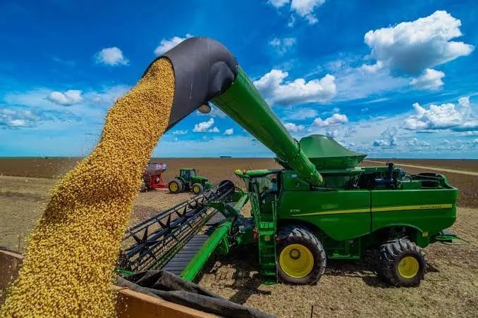 FAZENDA 205HÁ