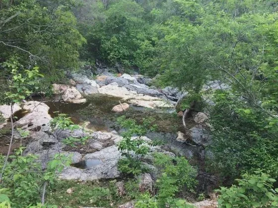 Fazenda com 611 hectares em cerro corá