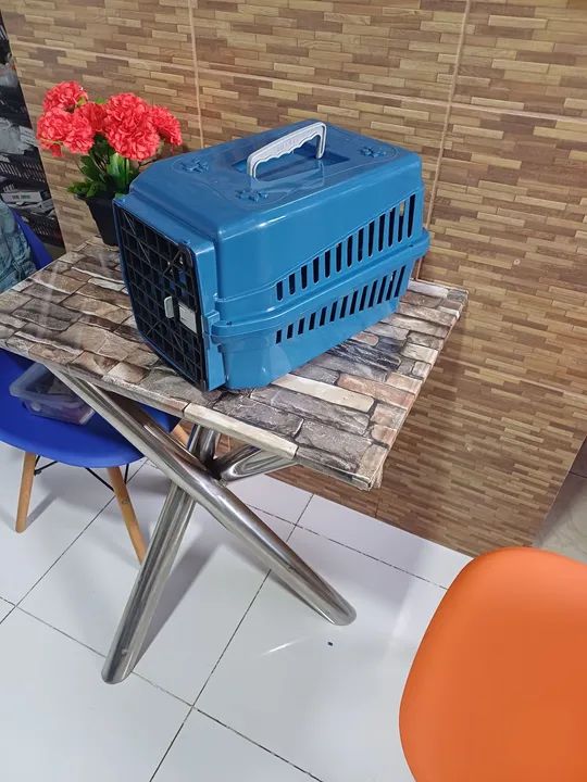 Caixa de Transporte Nr 02 - Foto 2