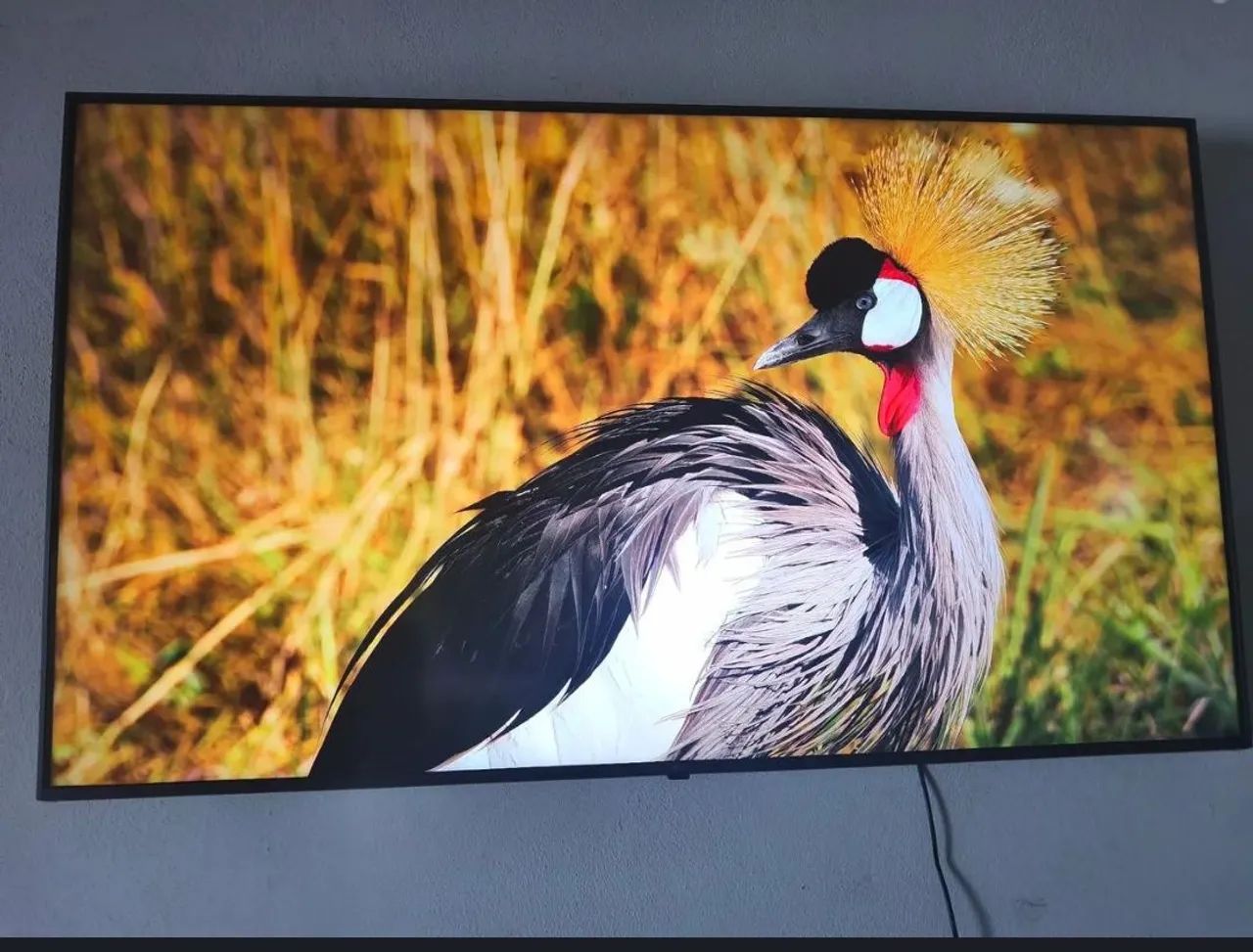 TV LG smart 4k compatibilidade Alexia 50 polegadas bluetooth wi-fi controle muito nova  - Foto 3