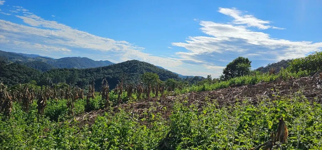 Lindo Terreno Rural em Aguas Mornas - Foto 2