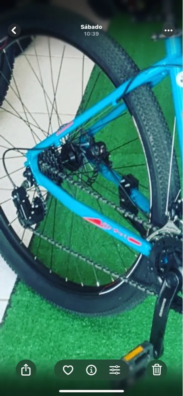 Bicicleta Mountain Bike