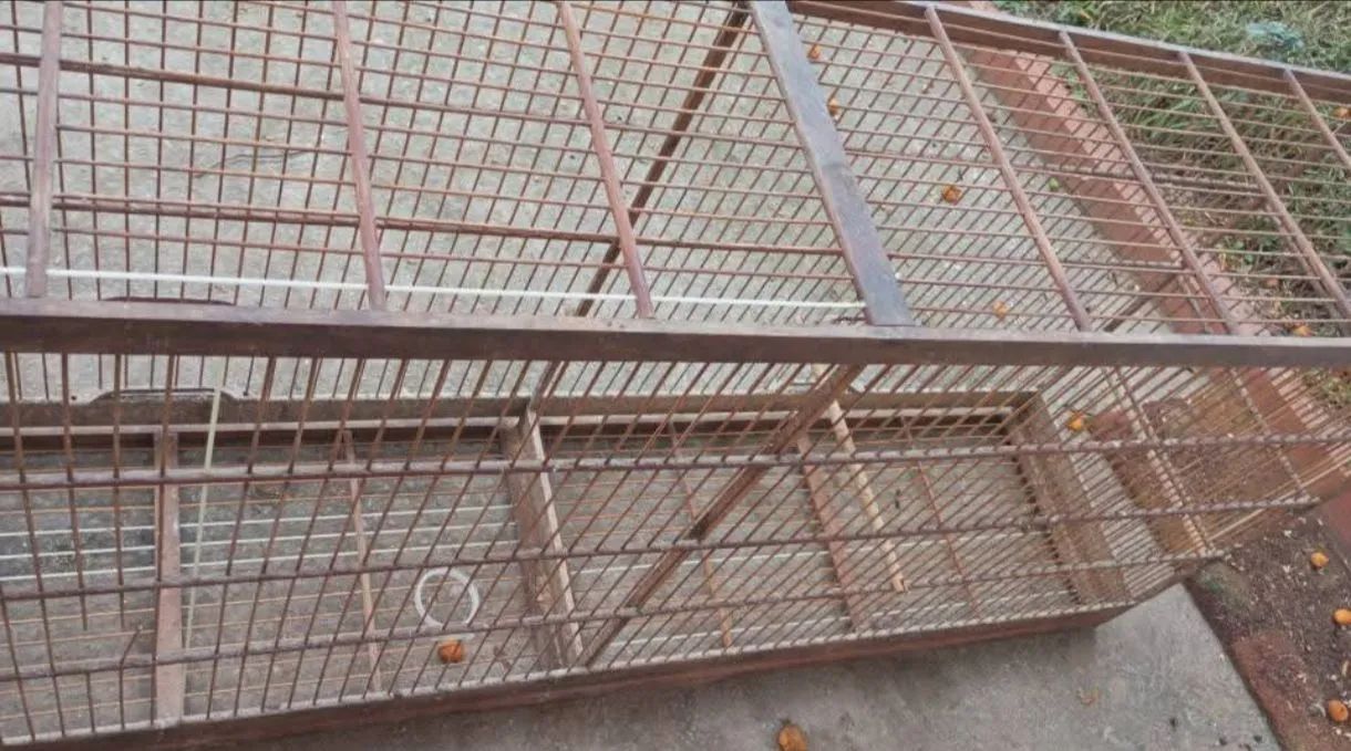 Gaiola de Madeira  - Foto 2