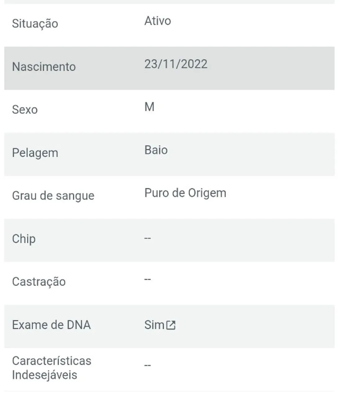 Potro garanhão a venda  - Foto 4