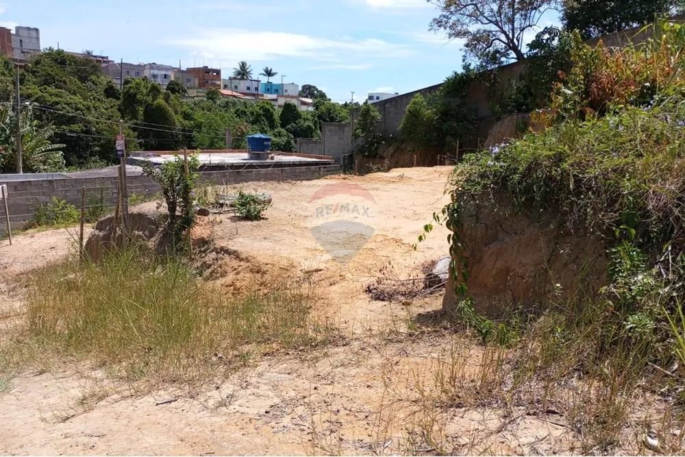 Terreno à venda no bairro Nova Anchieta - Foto 5