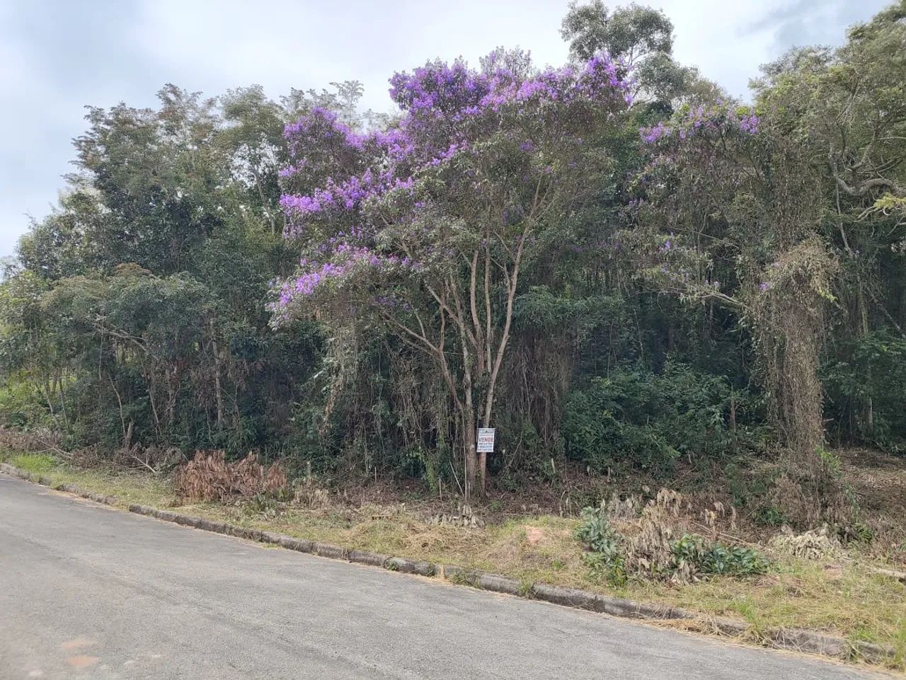 Lote em condomínio fechado  - Foto 10
