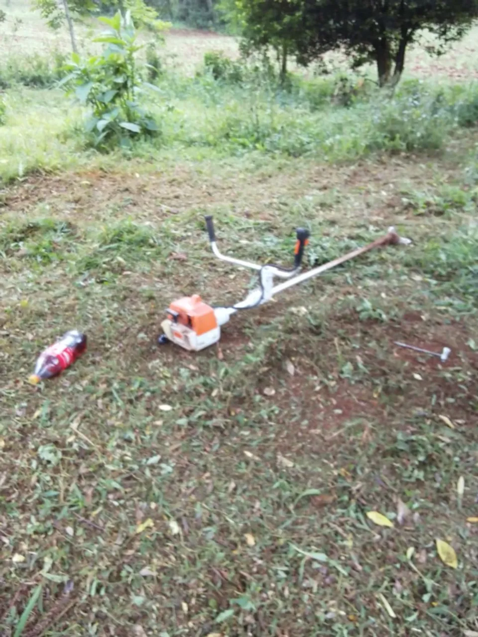 Marido de Aluguel Prestação de Serviço Jardinagem & Manutenção