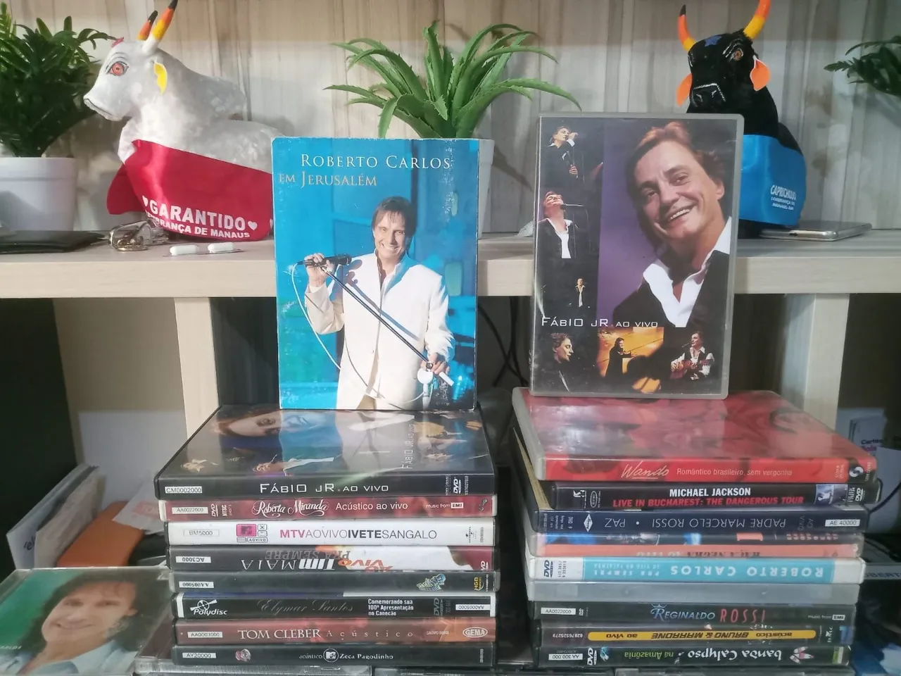 Diversos DVDs Musicais - Coleção Completa