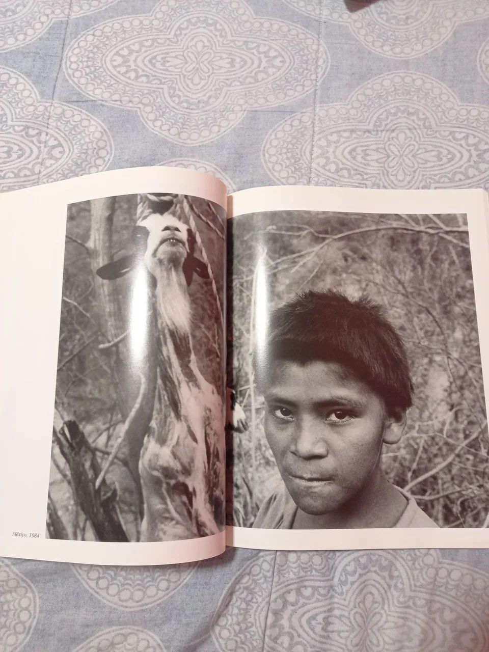 Outras Américas - Sebastião Salgado - Foto 3