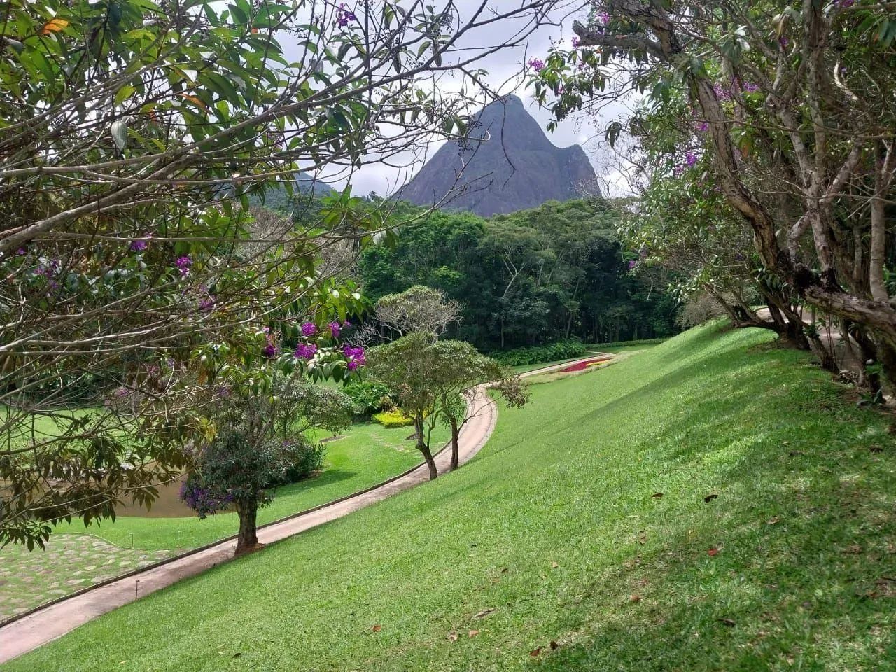 Empreendimento para Venda em Petrópolis, Corrêas - Foto 5