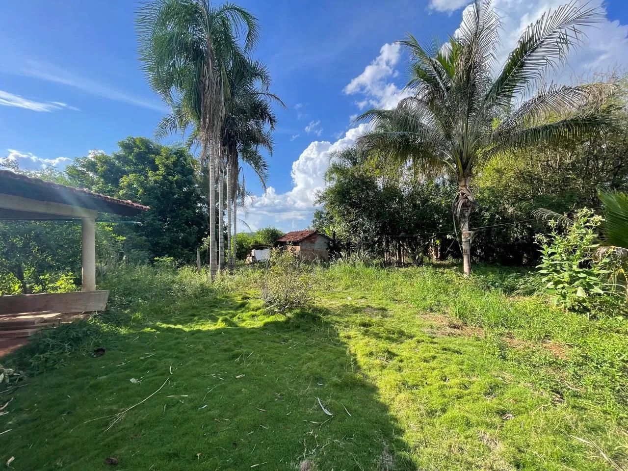Ótima chácara em Itaberaí ( Terra boa)