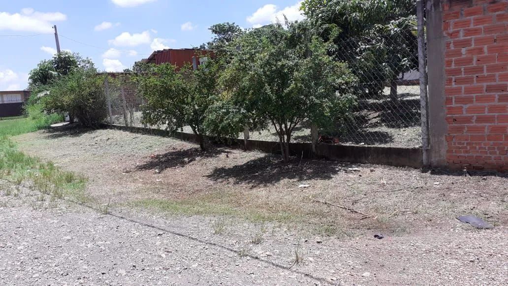 Terreno  - Foto 4