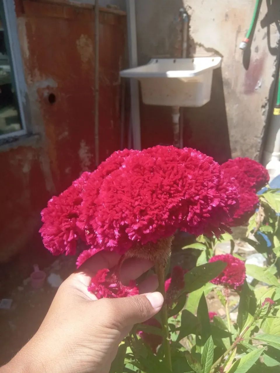 Flores para buquê dia das mães  - Foto 2