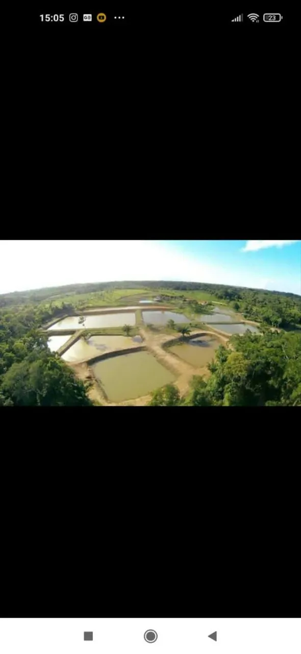 Fazenda 33 hectares dentro da cidade