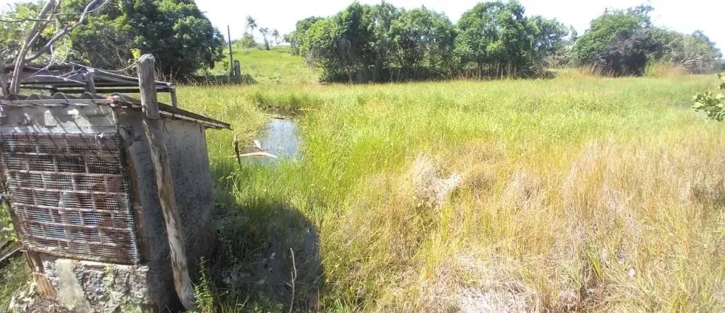 Fazenda à venda, 1170000 m² por R$ 1.250.000,00 - Distrito de Caiana - Ceará-Mirim/RN