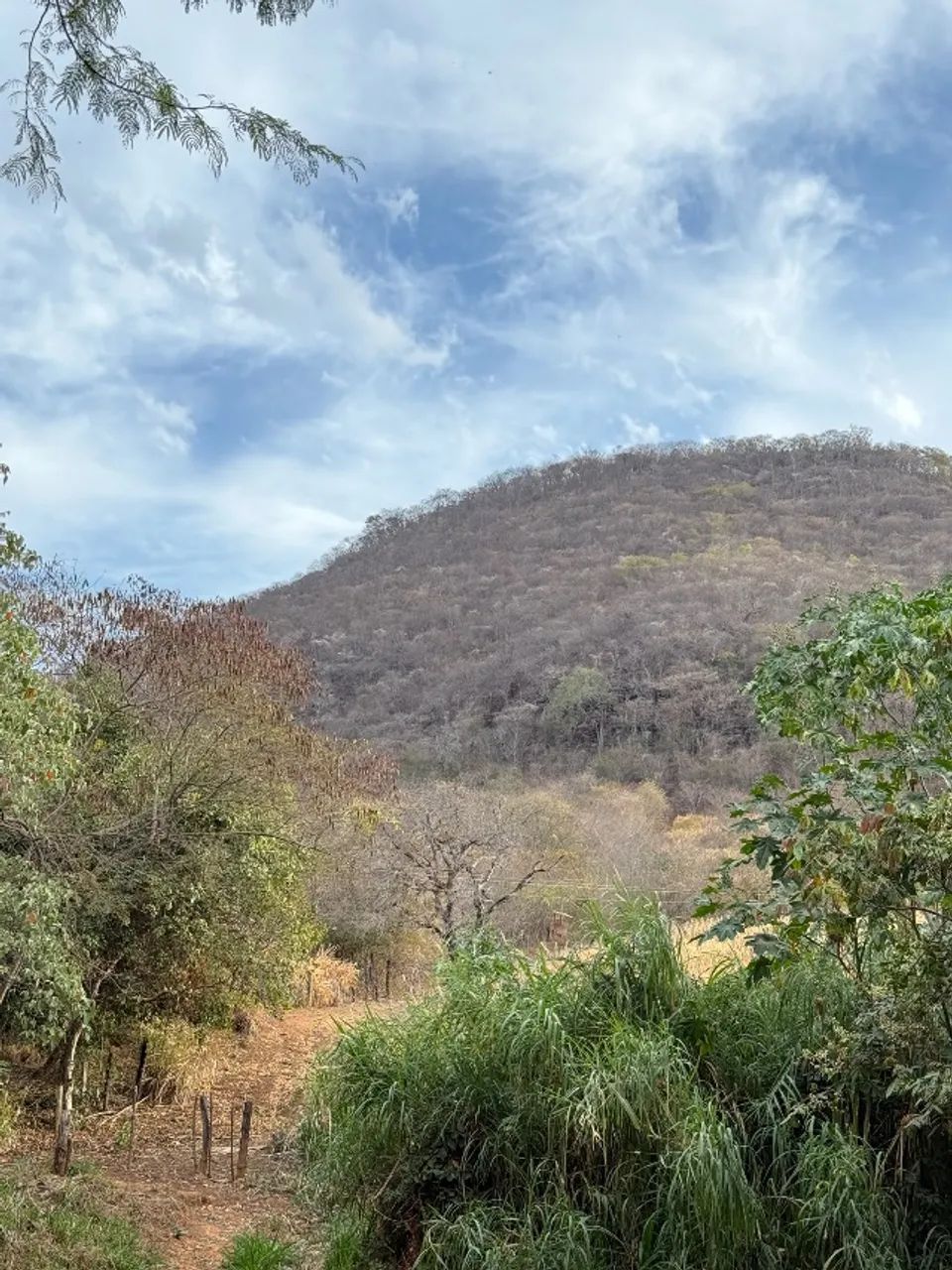 Foto - Montes Claros - Barcelona Park