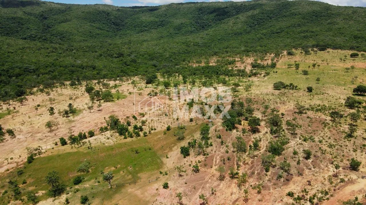 Fazenda Buritis 333,65 Ha Investimento Muita Água - Foto 5