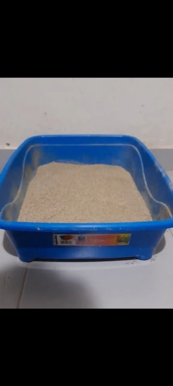 Doando gato - Adoção Responsável - Foto 5