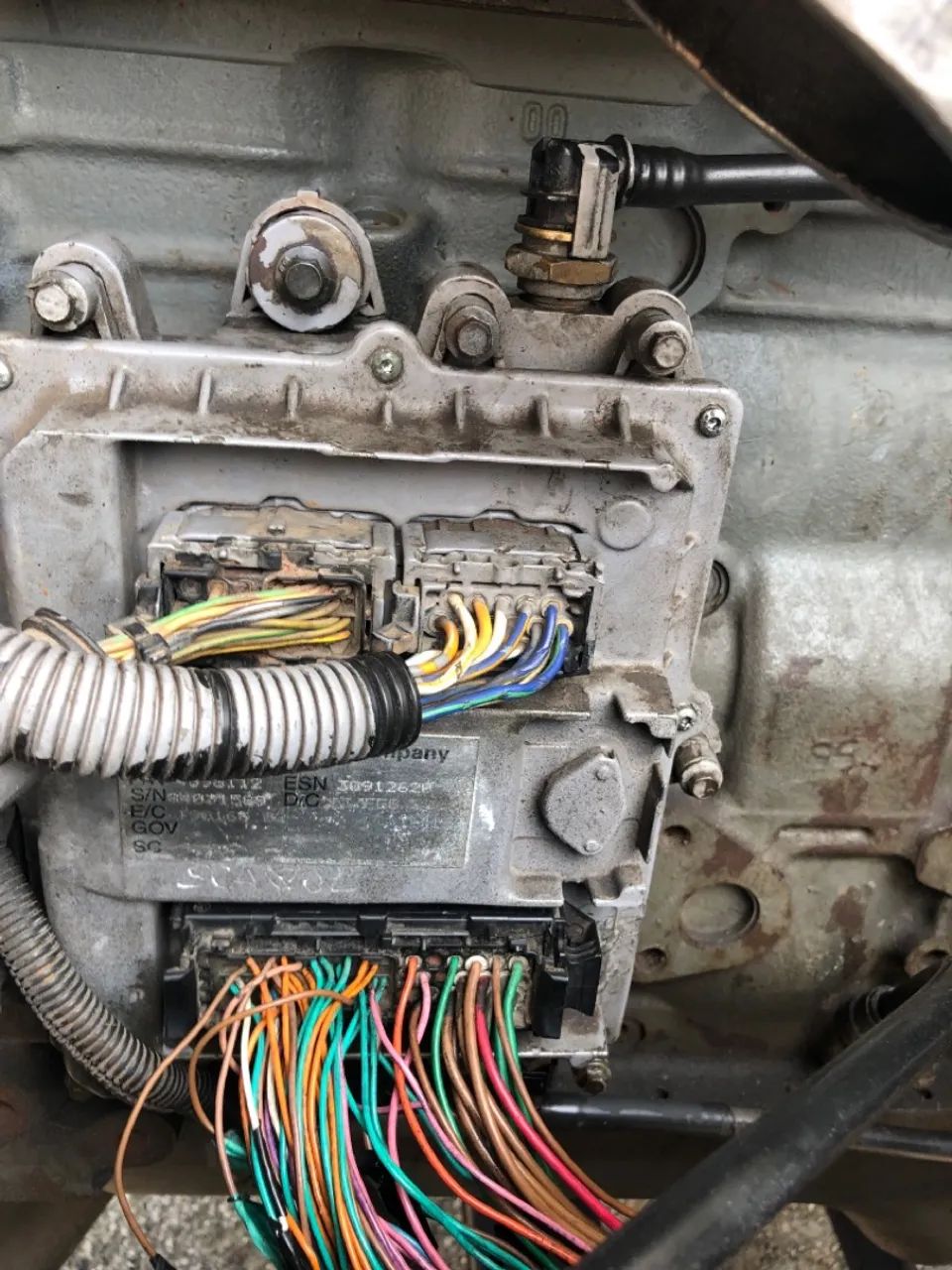 Motor 24250 com NF - Foto 3