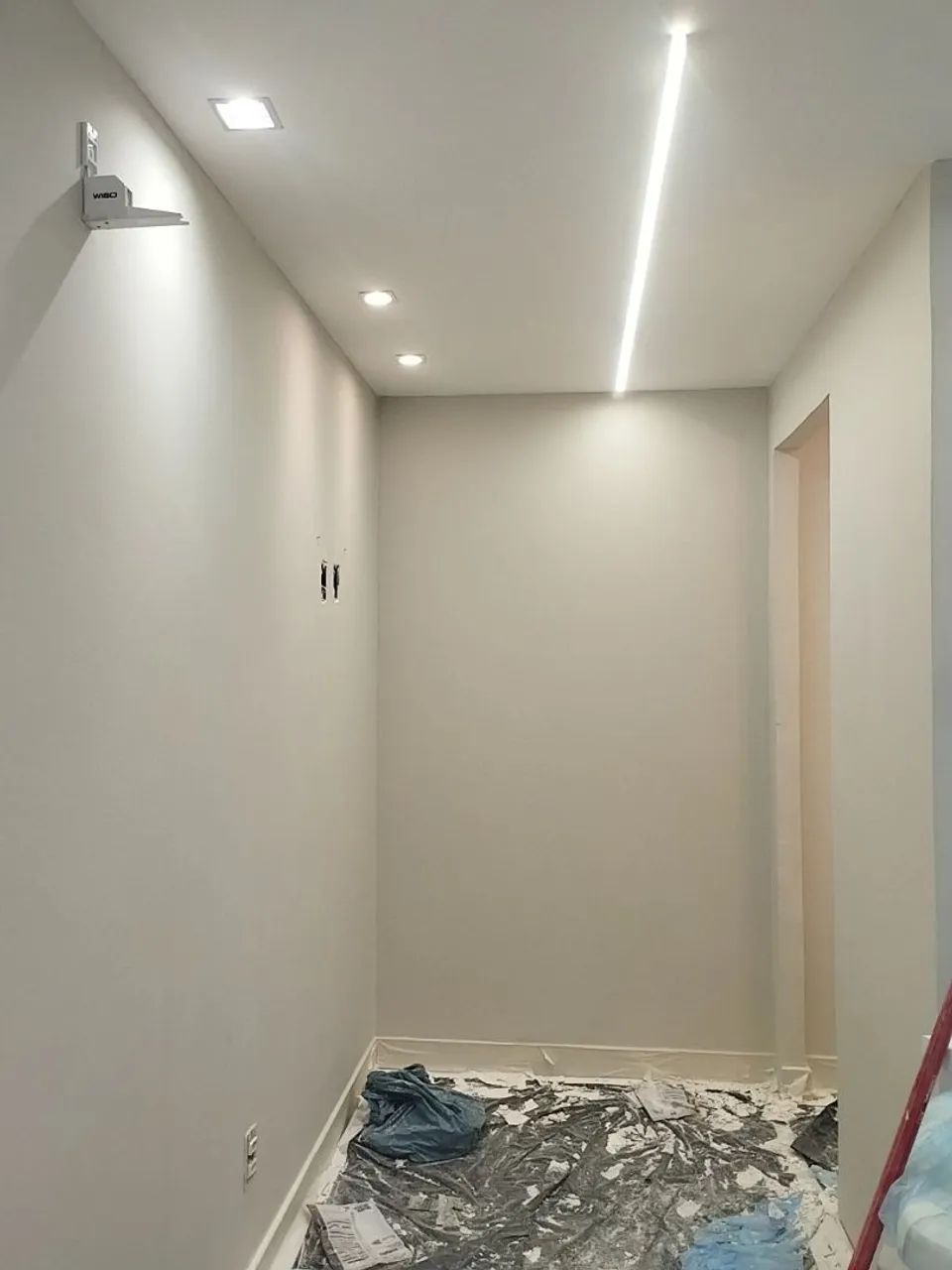 Pintor profissional 