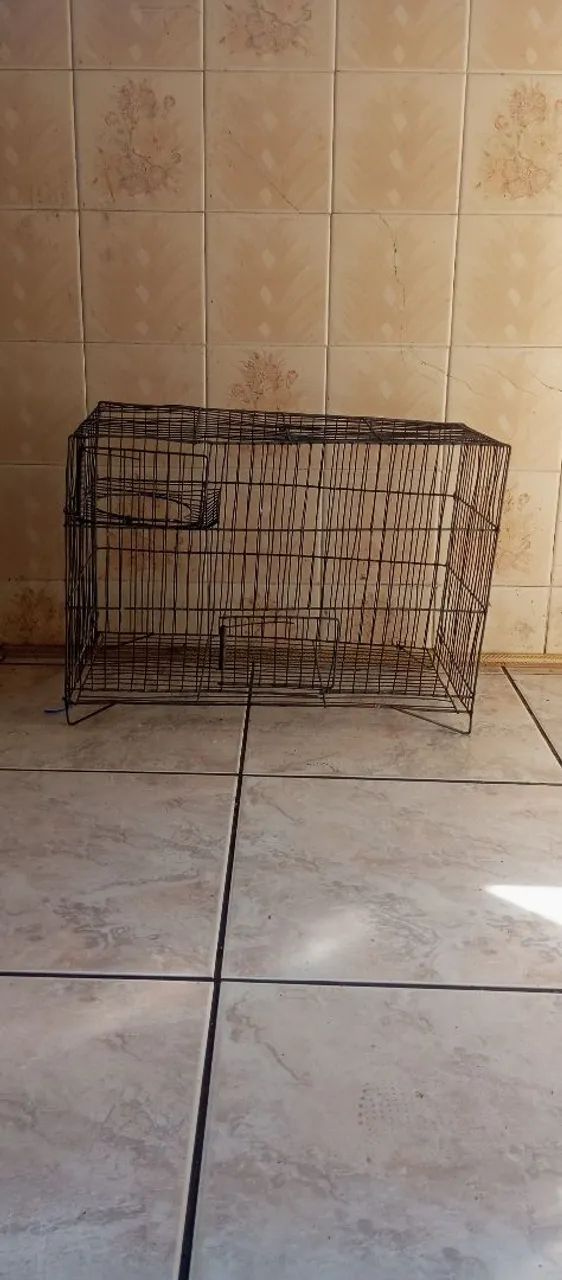 Gaiola - Foto 4