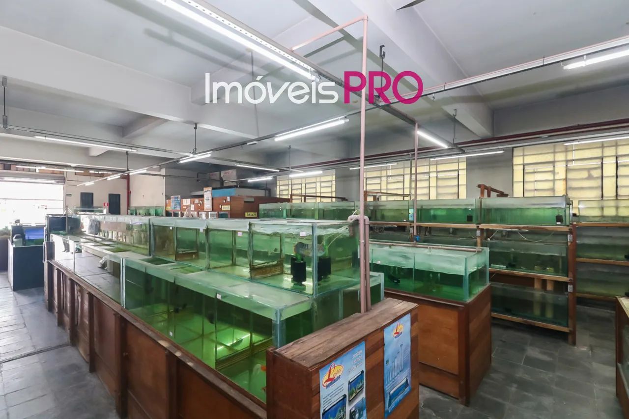 Predio com tres pavimentos com lajes livres - Foto 3