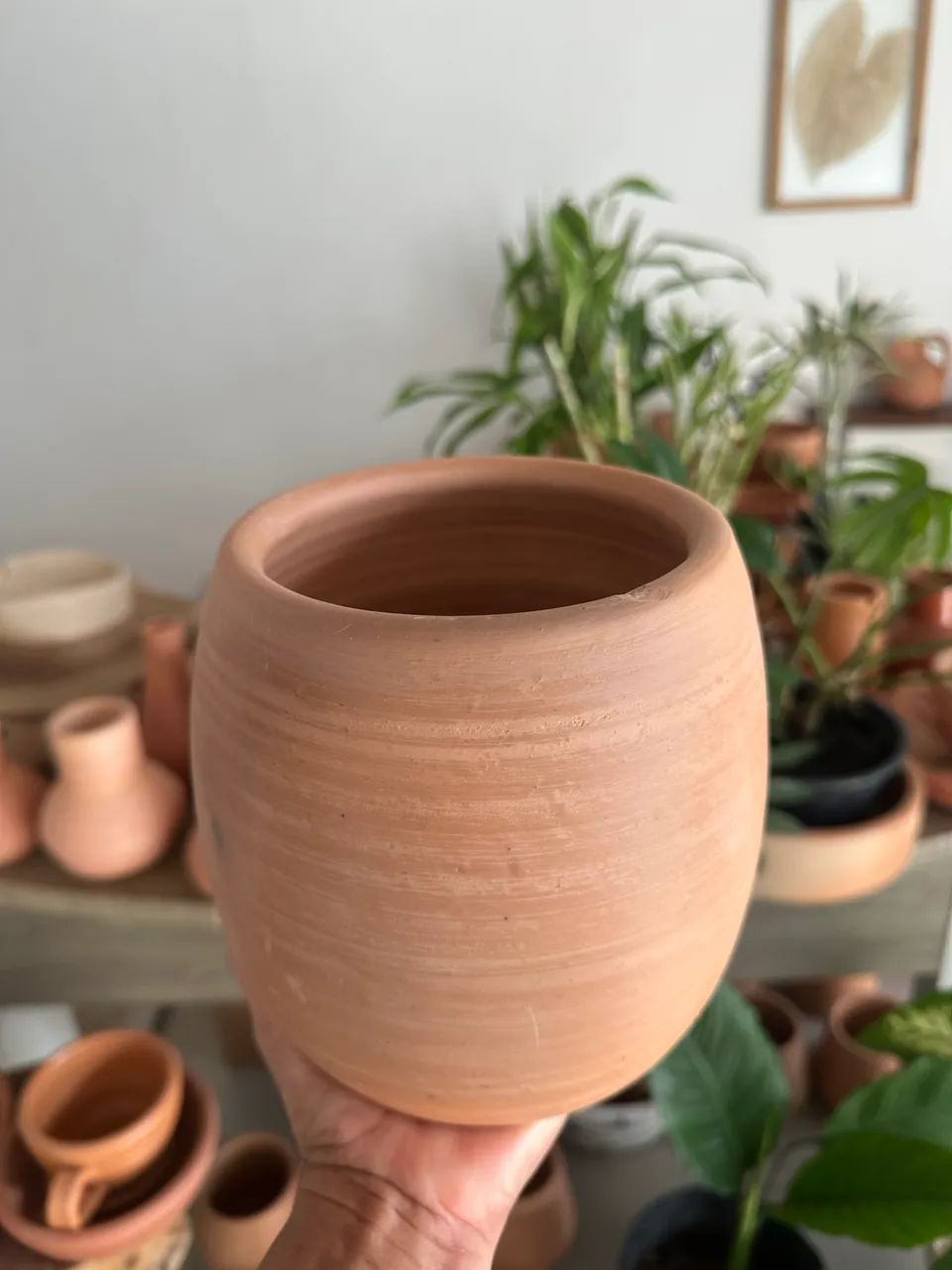 Vasos - Foto 3