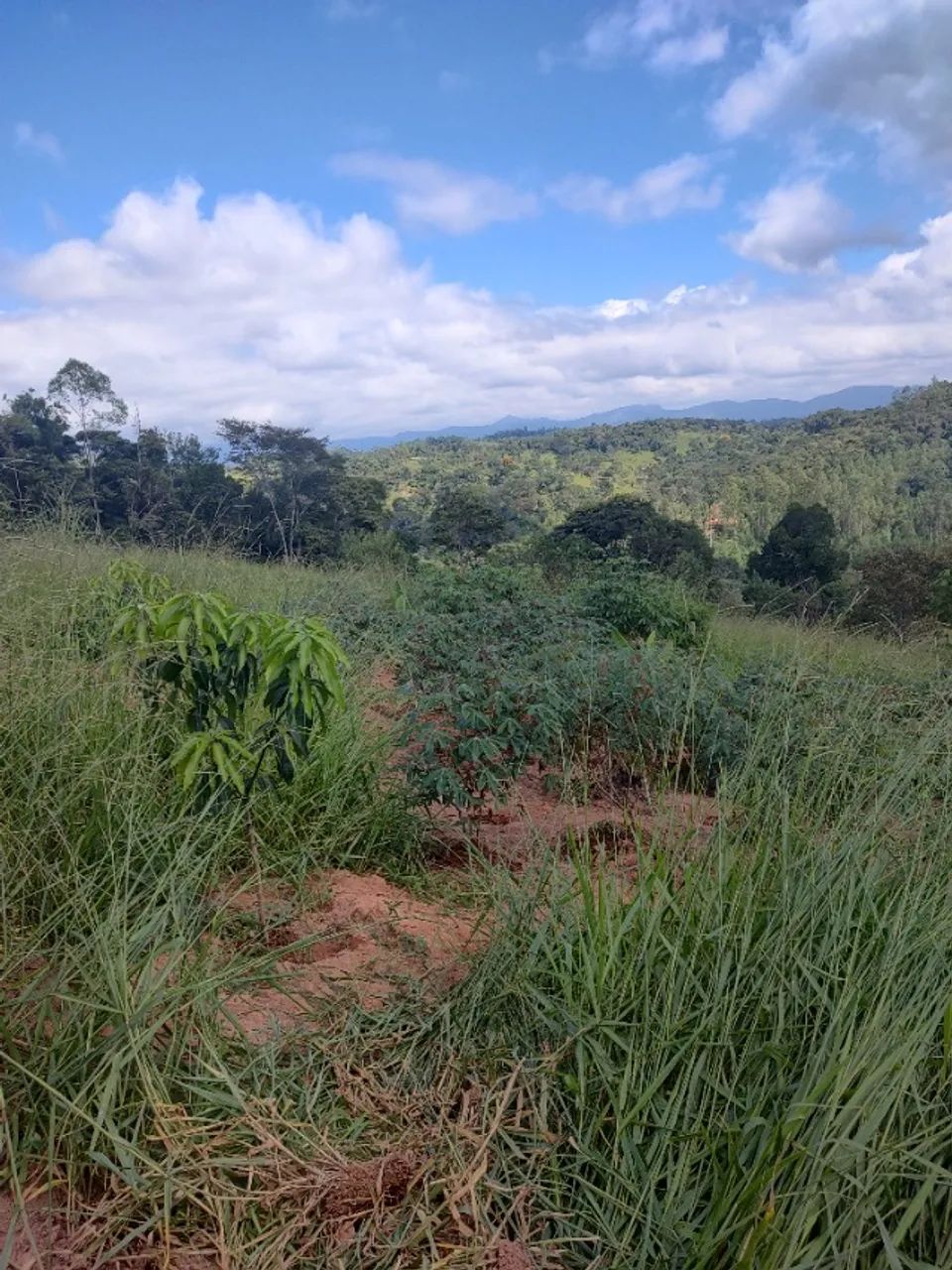 Terreno  - Foto 3